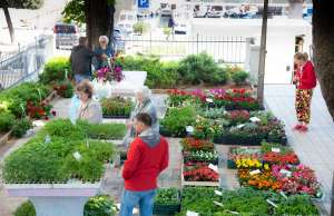 Sajam cvijeća povodom Dana planeta Zemlje vraća proljetni ugođaj u Gradski vrt