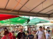 KuHarmonija pokreće Ljetnu školu kuhanja: Djeca uče od tržnice do tanjura